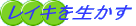 CLm