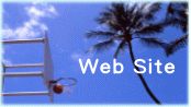 Web Site